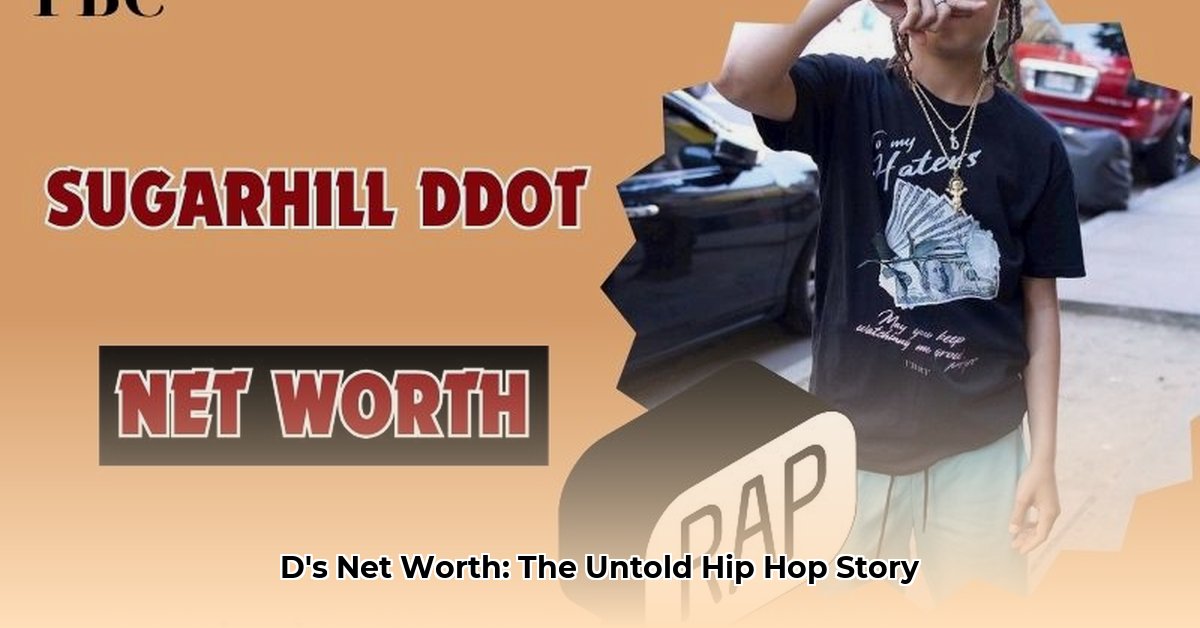 d-dot-net-worth